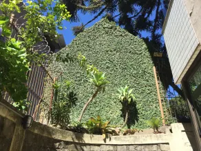 LocFlat - Apartamento Studio 109 - Image 2