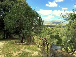 Tenuta Taddore - Image 4