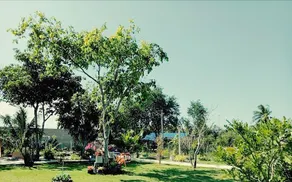 Baanchangkaew Huahin Resort - Image 5