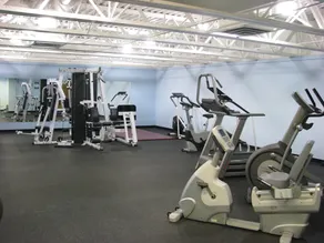 Snowblaze Resort & Athletic Club - Image 2