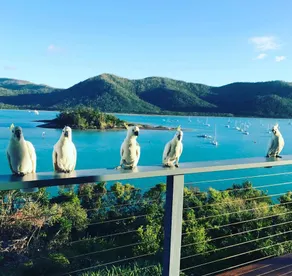 The Point Whitsunday Retreat - Image 4