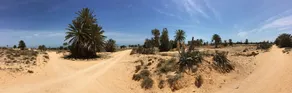 Villa With 4 Bedrooms in Djerba Island, With Wonderful sea View, Priva - Image 3