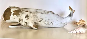 Seashells On Banyn - Image 2