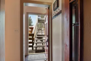 Jeffrey Pines - Image 5
