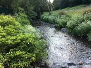 4-bedroom Riverside House With Garden Near Denbigh - Image 2