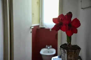 Easy Welcome Villa Emilia Apartment - Image 5