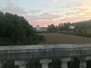 Zubi XXI - Image 3