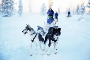 Saariselkä Inn - Image 5