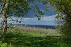 Cowleigh Park Farm - Image 3