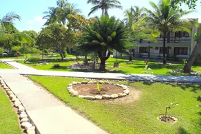 Oasis Praia Hotel - Image 2