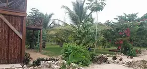 Serenity Retreats Belize -A Vegan Resort - Image 4