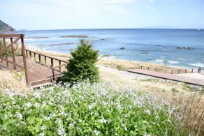 Shiosai - Image 3
