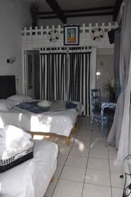 Les Mimosas - Image 4