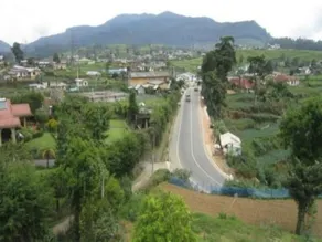 Vishmi's Rest - Image 5