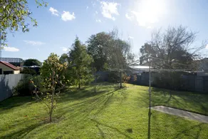 The Gums - Image 5