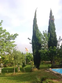 Villa With 3 Bedrooms in Merida, With Wonderful Mountain View, Private - Image 2