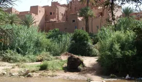 Hotel Palm Barraoui - Image 3