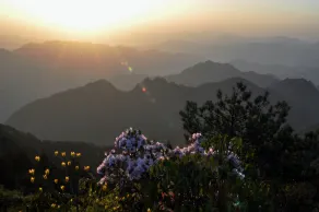 Songyang Utea Guesthouse - Image 5