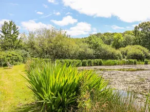 The Lakeside Retreat - Image 4
