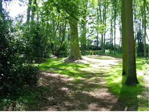 Maison de 3 chambres avec vue sur la ville jardin clos et wifi a Angerville - Image 3