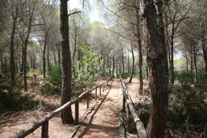 Casa Villa Giardinello - Image 4