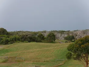 Shearwater Cottages - Image 4