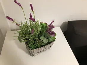 Tirreno Turin Apartment - Image 4