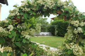 Villa Georgina - Image 4