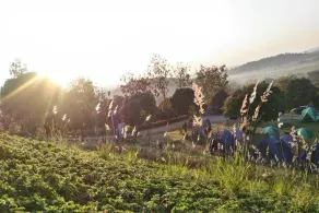 Kertas Khaoyai Resort and Farm - Image 4