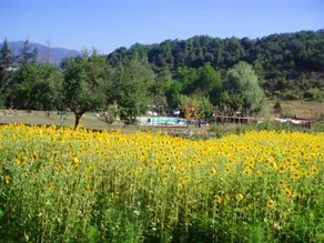 La Valle de Medici - Image 5