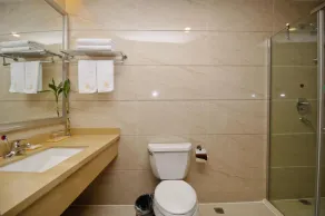 GreenTree Eastern FoShan ShunDe District Huicong Electronics Store Hotel - Image 2