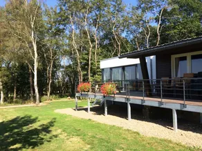 Luxurious Holiday Home in Elsenborn With Sauna - Image 4