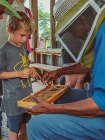 Bee Weaver Honey Farm - Image 4