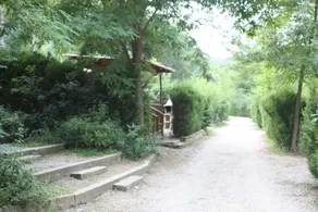 CAMPING DE BESALU - Image 3