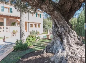 Villa Puigpunyent- Tramuntana - Image 4