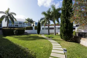 Live Santa Úrsula La Quinta - Image 5