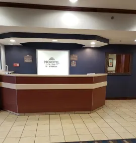 Microtel Inn & Suites by Wyndham Starkville - Image 4