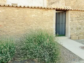 La Grulla Country House - Image 3