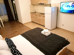 Villa Alla Fundeni Apartments - Image 3