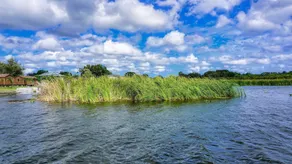 Lake Seminole Country Cabins - Image 2
