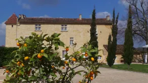 Château Isabeau de Naujan - Image 5