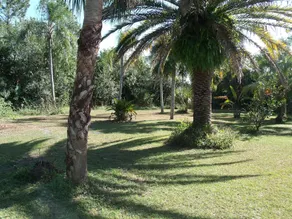 Villa Paradise 22 Pool Lehigh Acres Florida - Image 3
