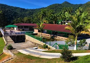 Sítio Abençoado em Águas Mornas - SC - Image 3
