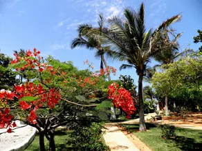 Pousada Lua Morena - Image 5