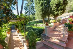 Cipressi Alle Vigne - Image 5