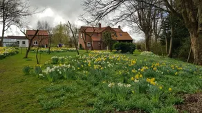 The Beeches B&B - Image 4