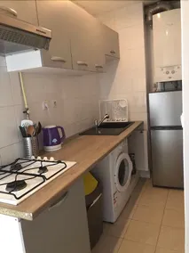 Super big beautiful flat in Paris - Image 4