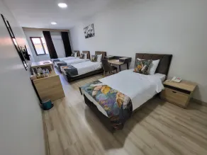 MALATYA NORVIA HOTEL - Image 4