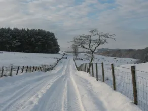 Bridgeford Farm - Image 5