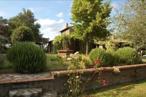 Verdidea - Chiaraluna - Image 3
